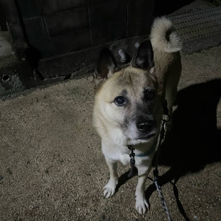 Bc34c465 4ed8 4770 8b58 7e5177bad663 1729772477738