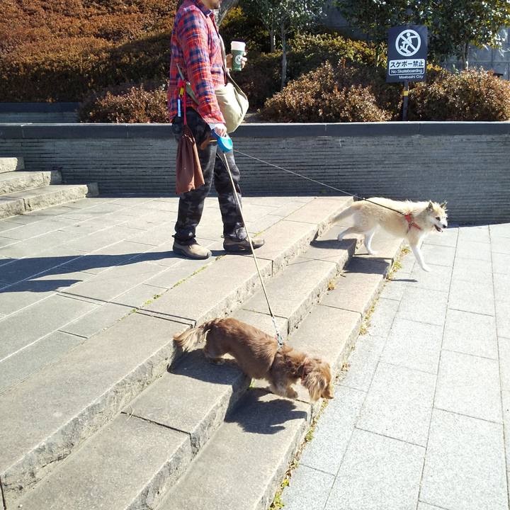 Bc34e707 8989 4e3f 82dc a2367df37a70 1549160233011