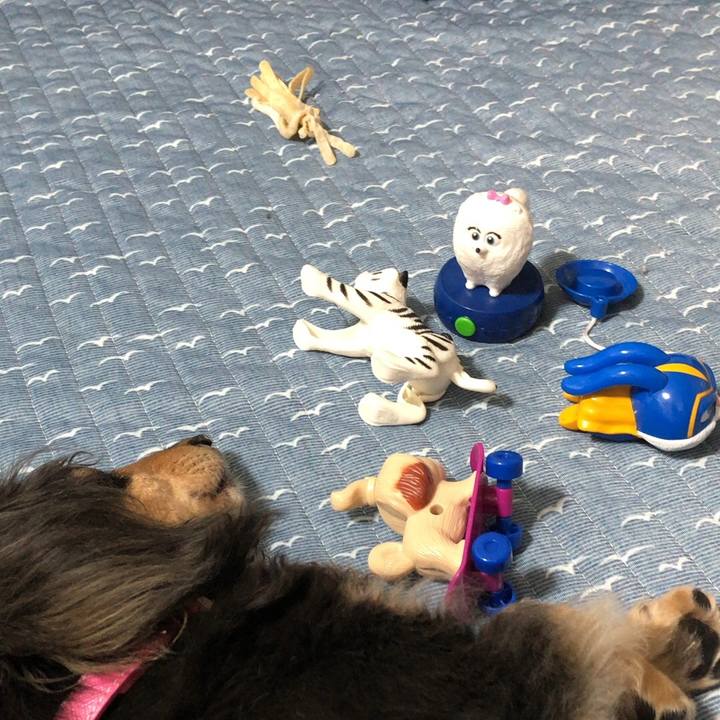 Bc34ef7e 35e5 4991 9e5d b02ad33e041d 1565773925903