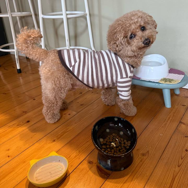 Bc34ffac 8c43 4302 ae58 287896c827f7 1775430150935