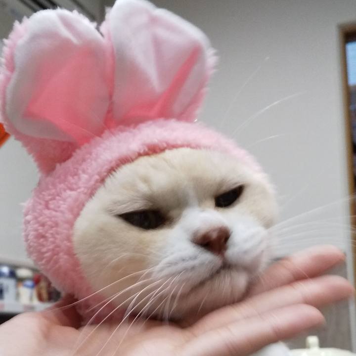 Bc3516dd b421 4e2b b9fd 49c69297dbea 1577702154007