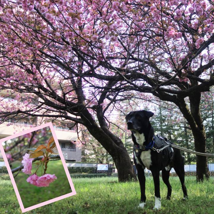 Bc353bb0 271f 48f9 a67b c475c10bbec7 1649551237478