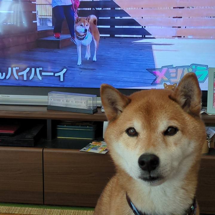 Bc354064 9f02 49f0 92cf b81950567a06 1709962215497