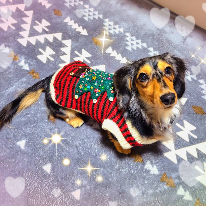 Bc3559ed af5d 4ce6 a0bb c6ea76f29f37 1732409912473