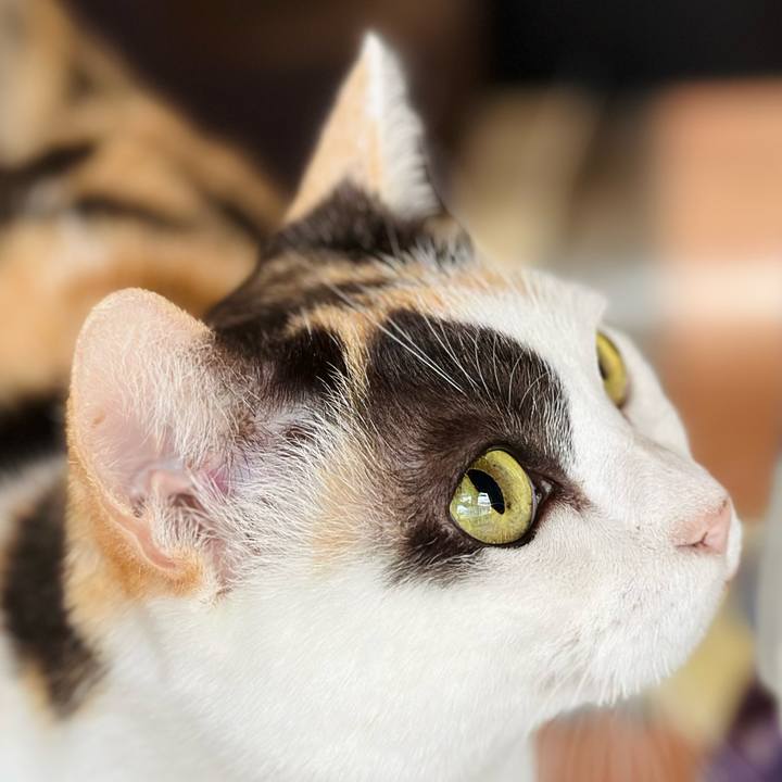 Bc357c94 e3d2 472e 9185 29beed739c7e 1700269832219