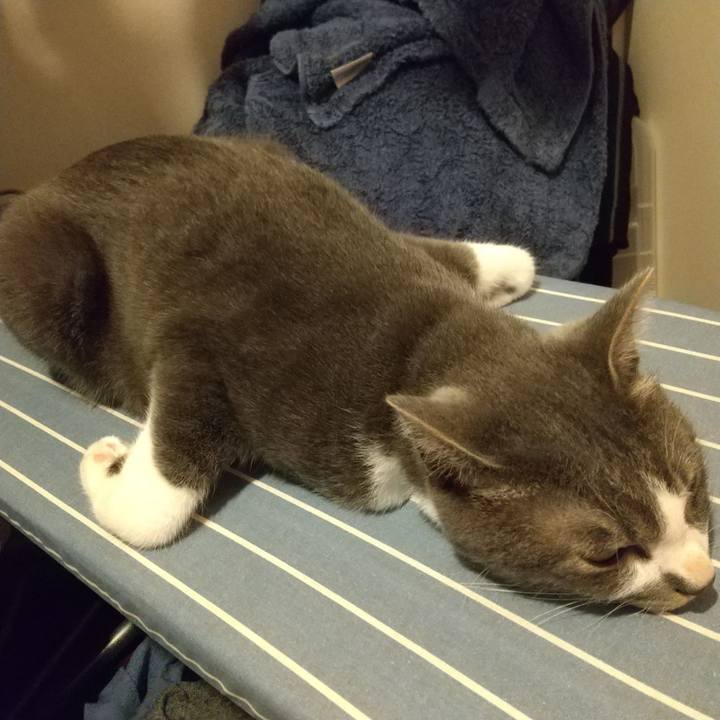 Bc357dcc 931e 4cd6 9984 0b6a0e72d858 1624108067110