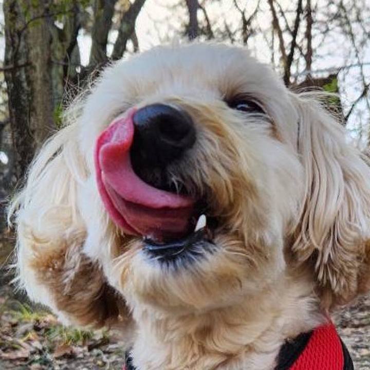 Bc3581a4 6736 4279 988d 8b79a42854a6 1768621218619