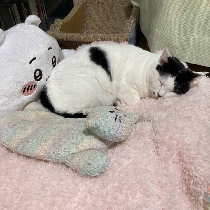 Bc358757 8ae3 4bd8 ba48 72b715d22a6f 1765285033902