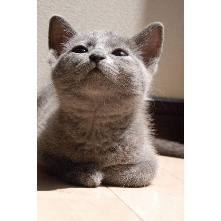 Bc358d18 5999 4d46 bedf f8601df5b716 1531214641472