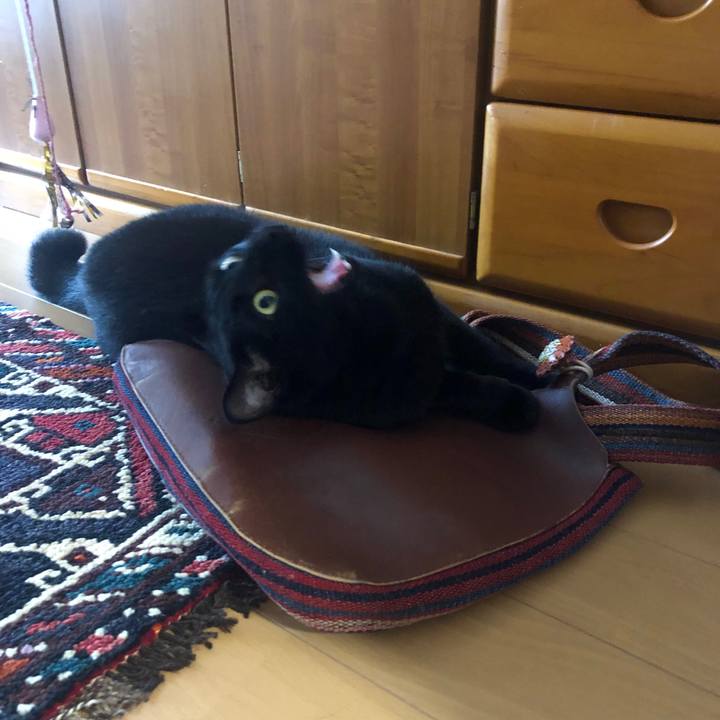 Bc35efe0 dad3 4a1c acc7 87e72902e9da 1560579139031