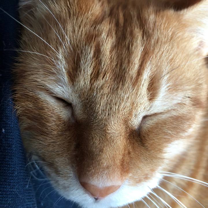 Bc36539c 24e7 43b6 8e50 bfe62b599d72 1734764410088