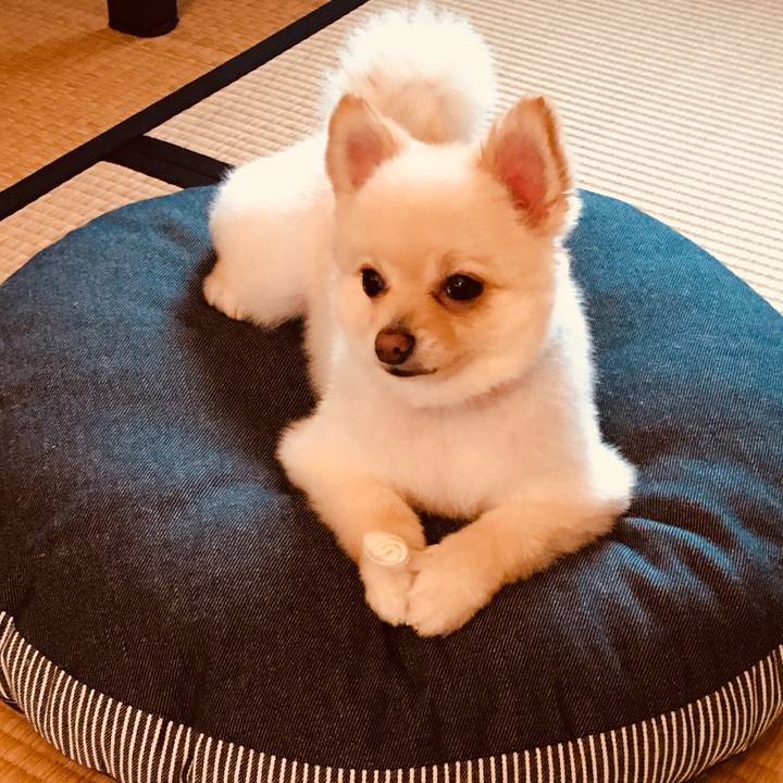 Bc366ce5 d8bc 4b4b 9e9c c204f480036c 1530348893522