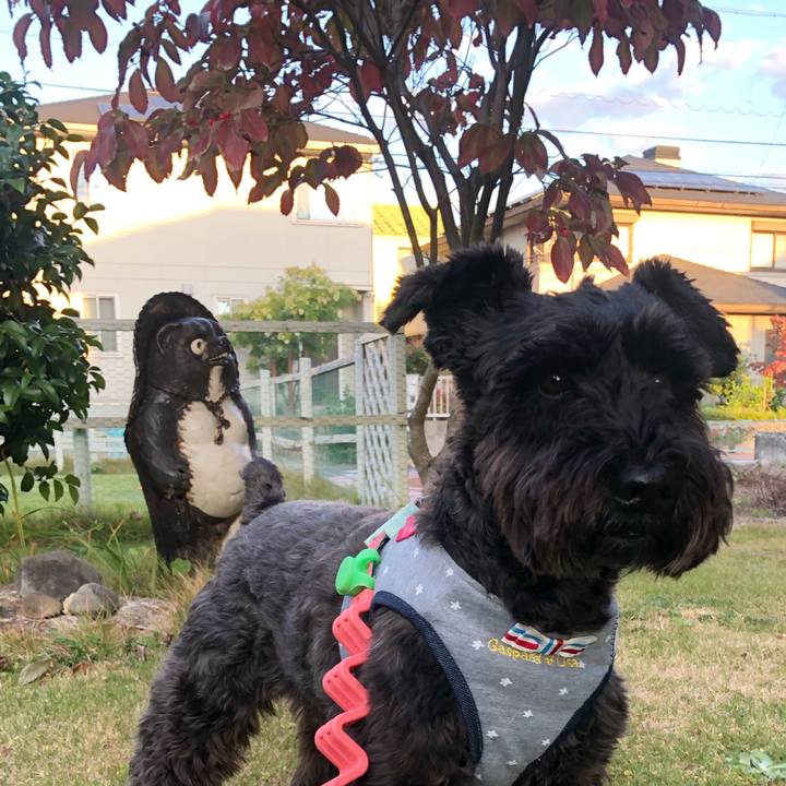 Bc3699e7 f15f 48e7 804d 07d650ef385e 1635545784232