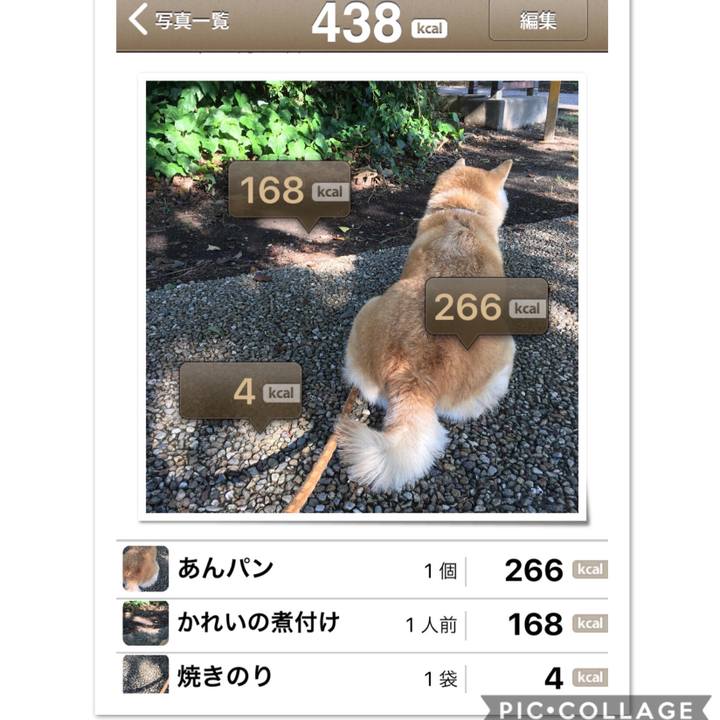 Bc36ab92 a61d 4d36 b41a 37a75518002f 1536422547645