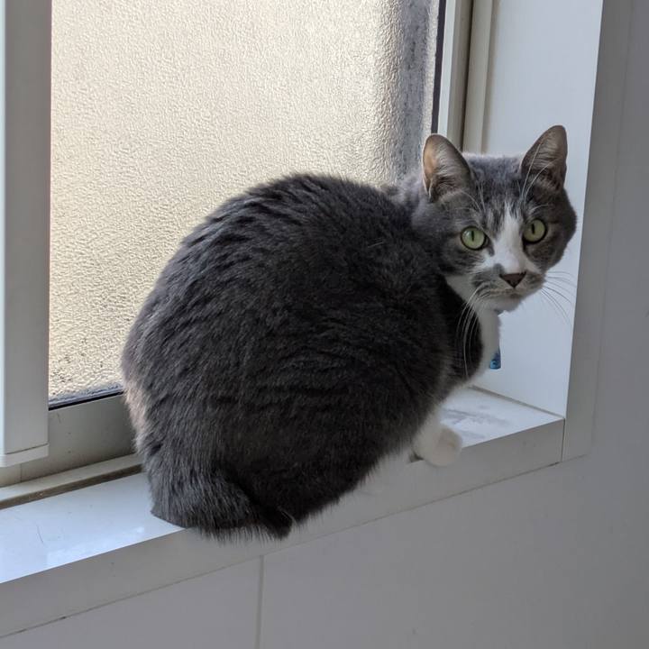 Bc36db03 0119 4bca ac6f da8162c8fd04 1768532779565