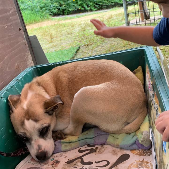 Bc36f961 7909 4c6a bc87 3e2782425abb 1595755069082