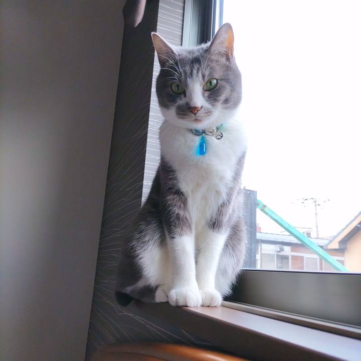 Bc3725d9 ad52 401d 873a 20e81e0b6f32 1673675719408