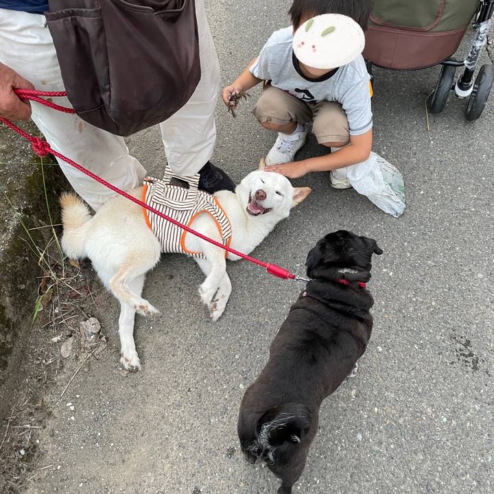 Bc372612 380f 4778 80e7 cf32d0e761eb 1655472744448