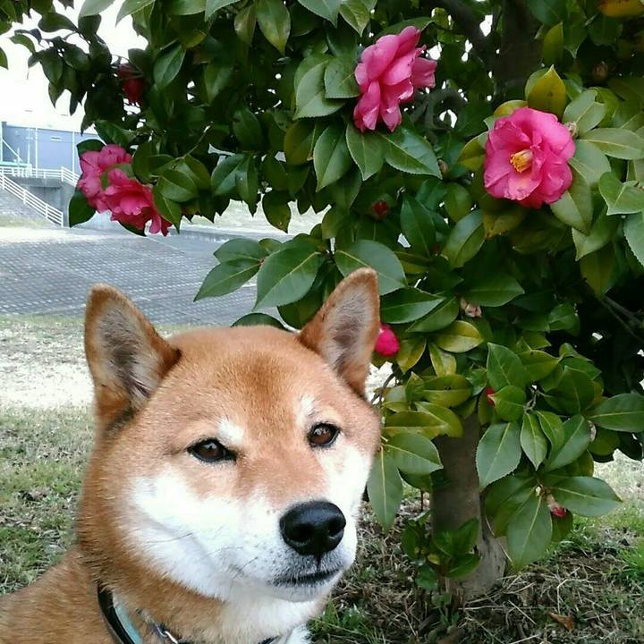 Bc373f22 adbb 41b7 9a85 dba1cf050cde 1551856123253