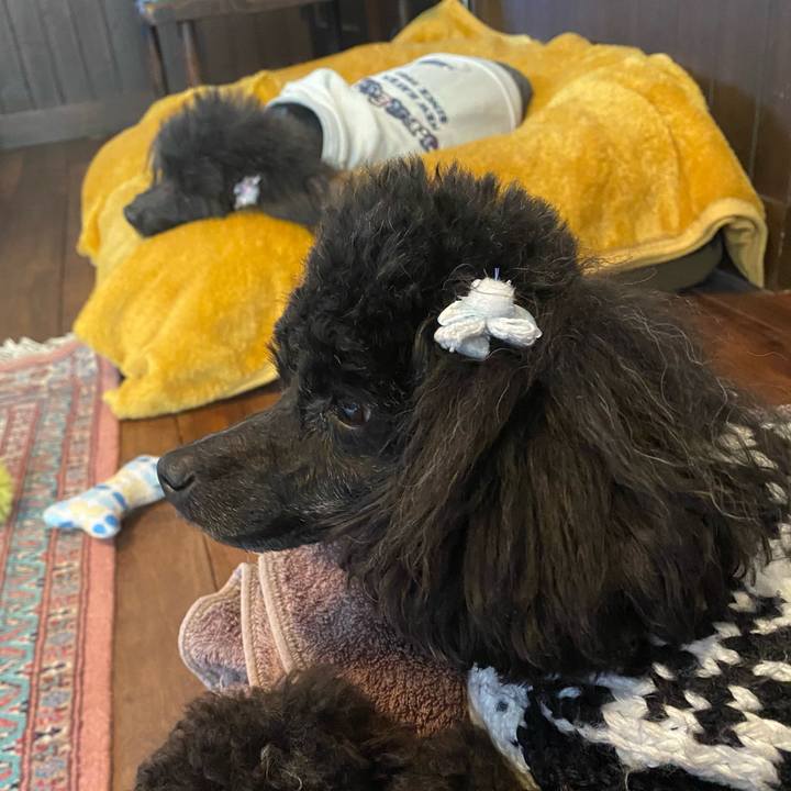 Bc37985b 019f 4ef1 9527 efd1c6bea01c 1612477969219