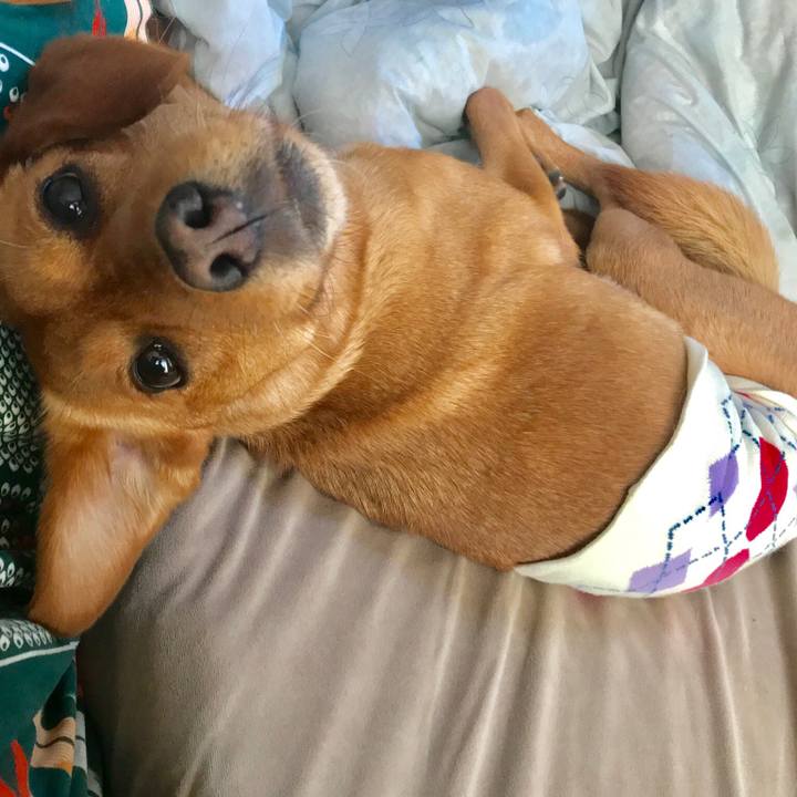 Bc37bff0 33c7 41e7 8883 54df6ca5fab5 1548250394921