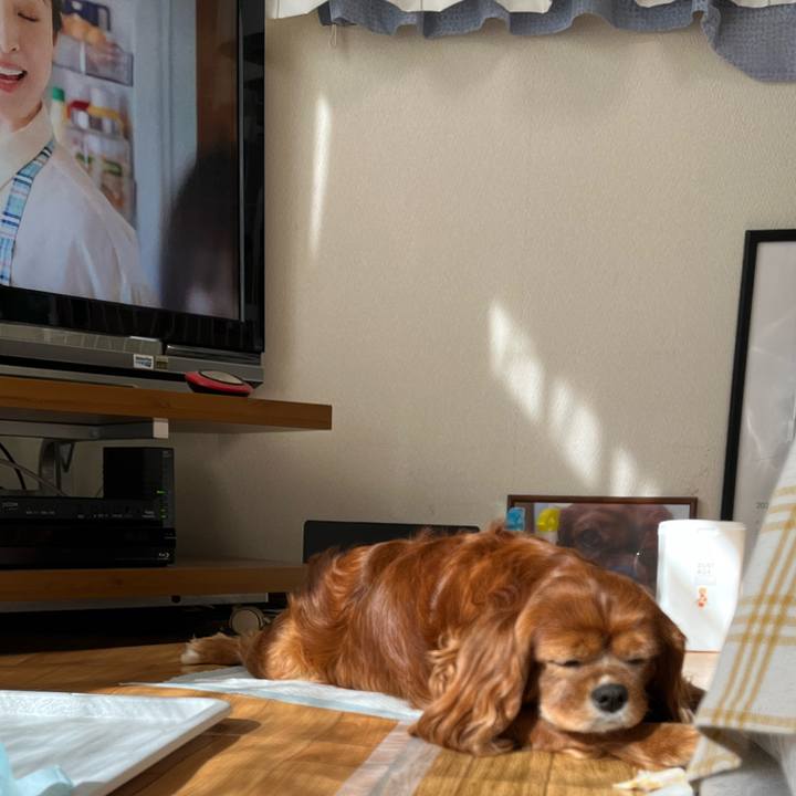 Bc380db6 fefe 4e9a a4c1 1c94be3691c7 1683068044099