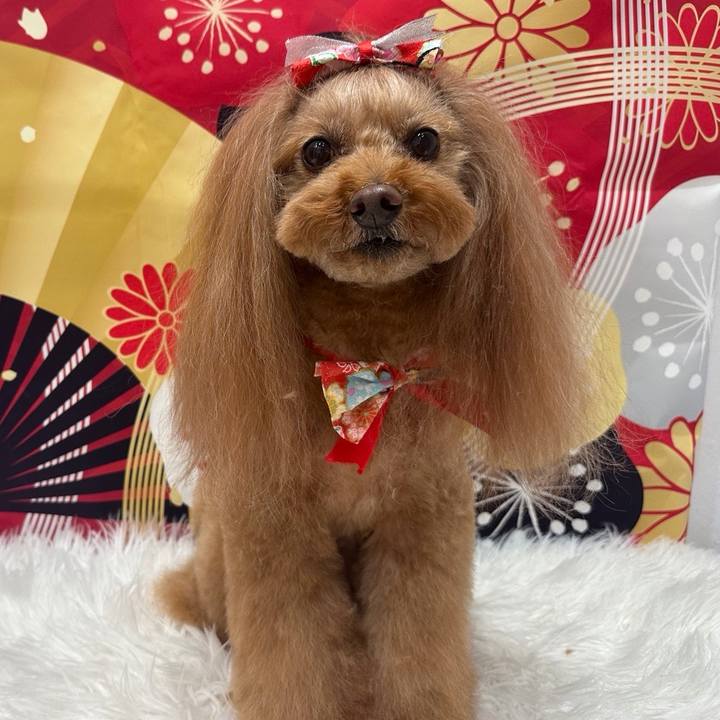 Bc38512d 3361 4d92 aa55 d0c07cf4c861 1768469988171