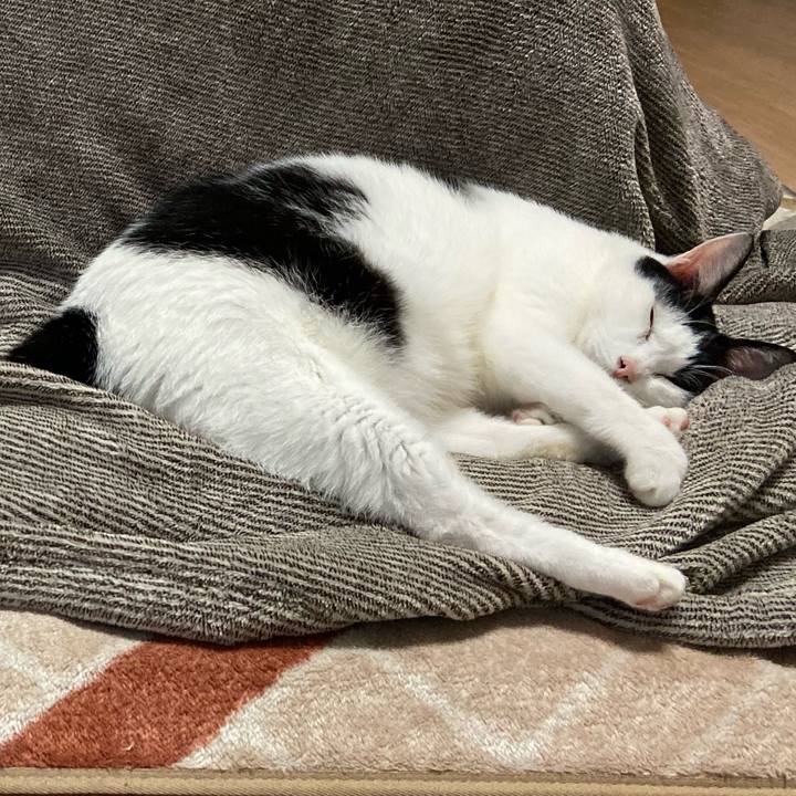 Bc3869ee 1e2b 4620 97b4 d2ca362079dd 1575460723096