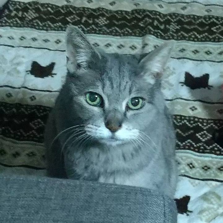 Bc387bfe 4a6d 4d1f 94ab 445726893629 1682463180136