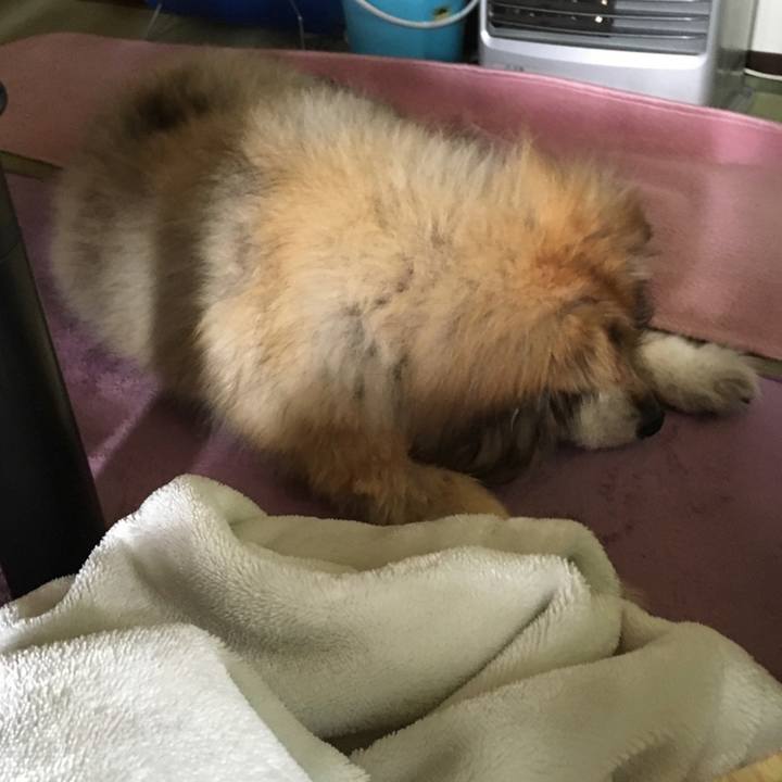 Bc38b0dd 9b16 4289 b04e ac1ef09e9f42 1578816553380