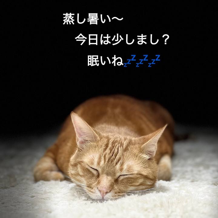 Bc38e614 ee5c 4d3a aba0 b53cd09bd019 1688511609668