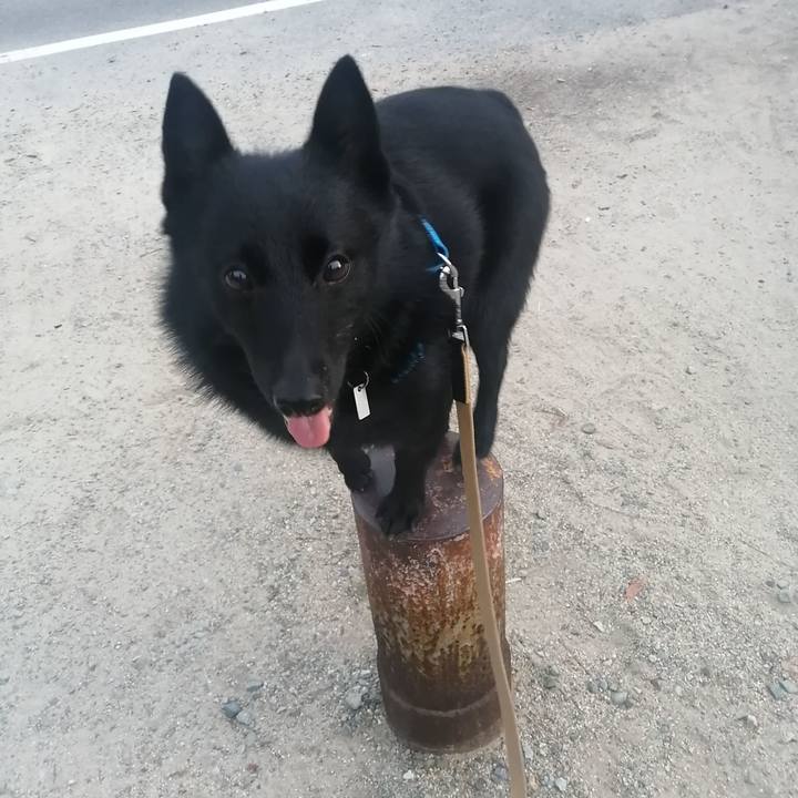 Bc3928c3 165c 49fb b7a8 da3971e26aa8 1633469170792