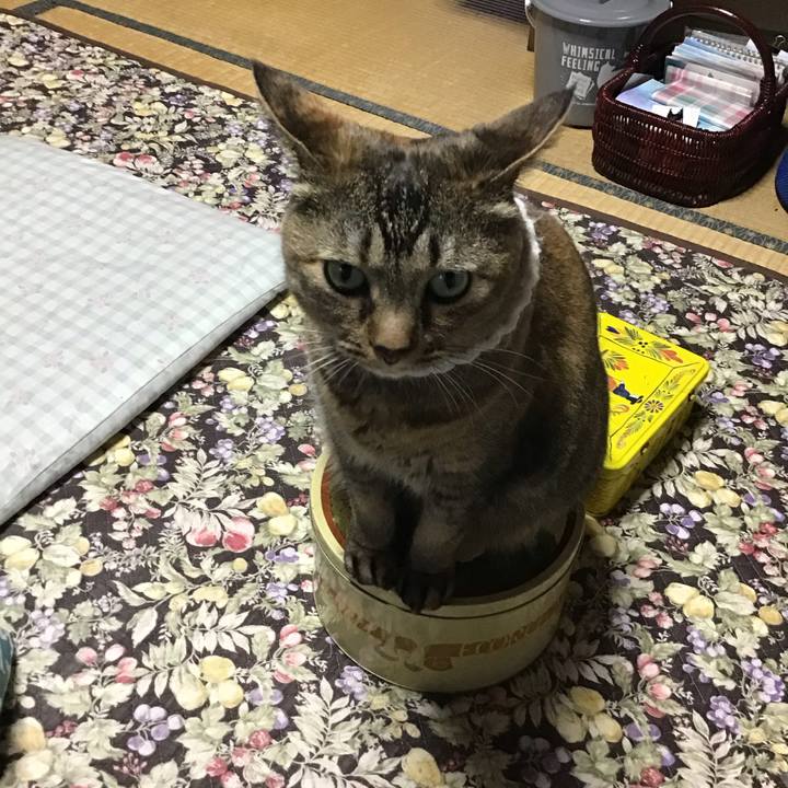 Bc394044 f1e3 4552 81b4 2ea718146b00 1749812325788