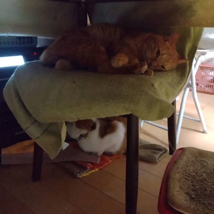 Bc39658d 287f 41b0 8369 003113b19f8f 1767779460128