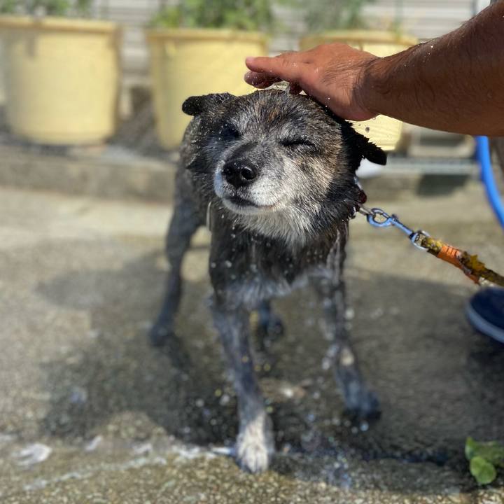 Bc398000 d5ec 4a30 8efb 63ef5483b916 1657347974531