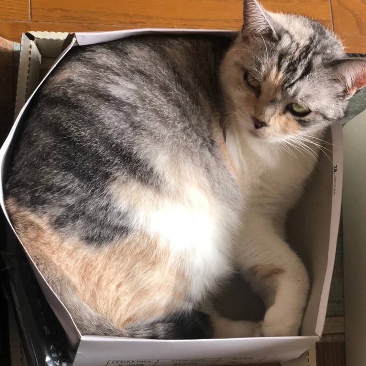 Bc3985fe 9551 4778 b77d 1d5ad5bab087 1595812350241