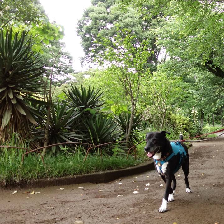 Bc399491 5d0f 443f b106 7cfa1177d39c 1748647563677