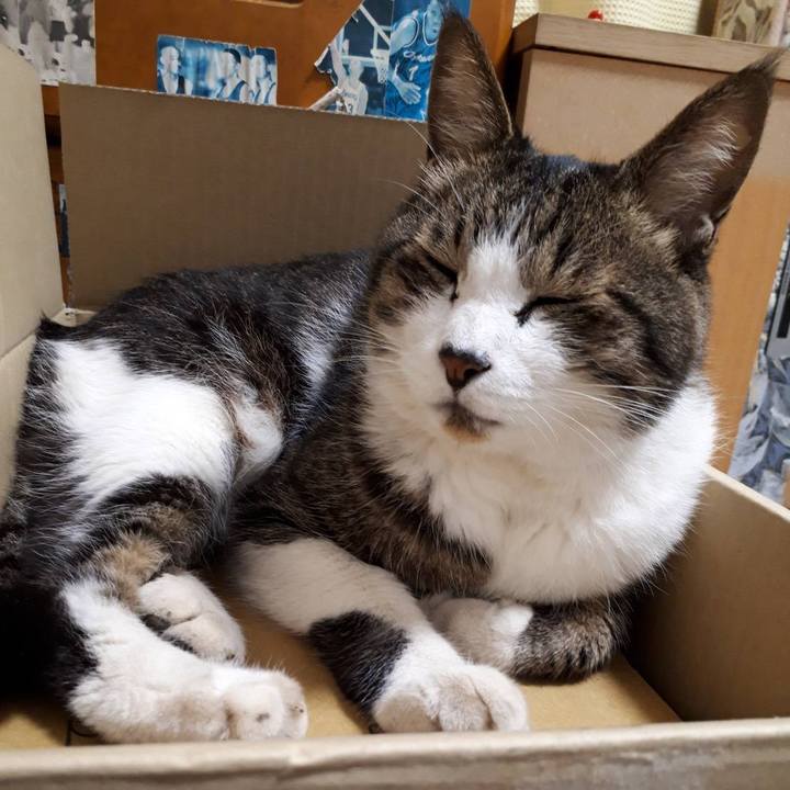 Bc3994cc 962d 49bf b914 155412428f34 1624933954241