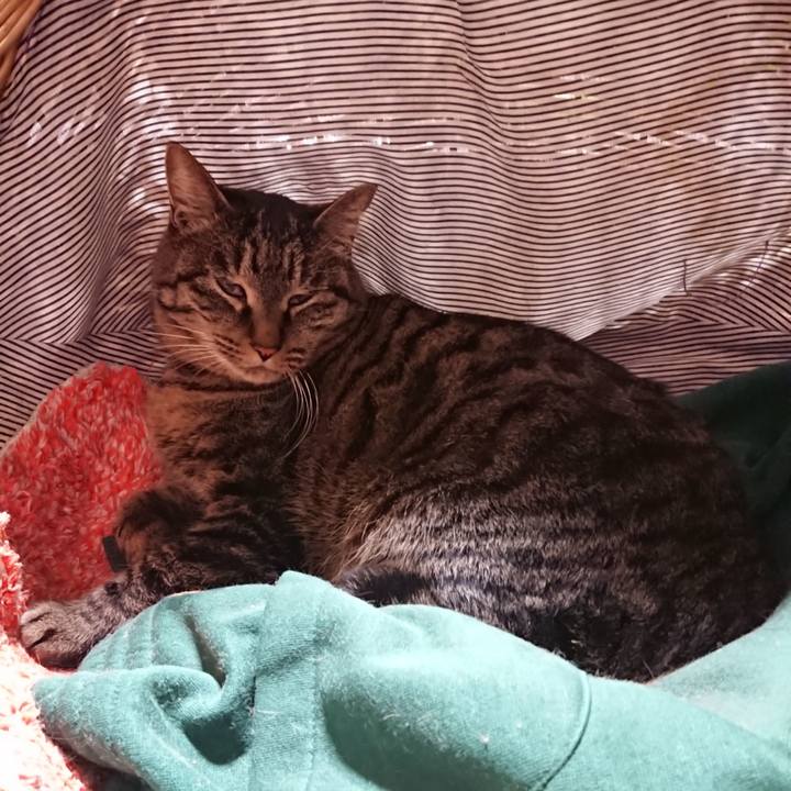 Bc39a73a 211b 4aad a648 67f120e8da71 1642509171909