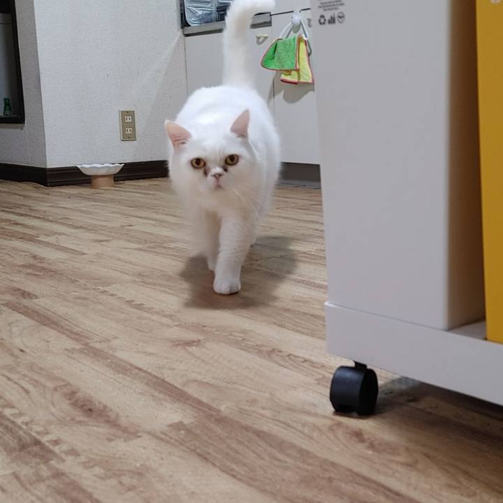 Bc39b578 a742 4a4a be4b 7c5ff1a60acc 1714983234512