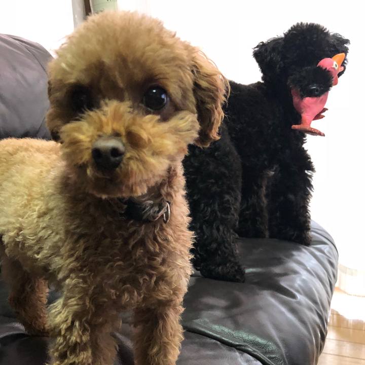 Bc39c03c 5f39 41a6 9266 35aa22db6e6c 1551394279555