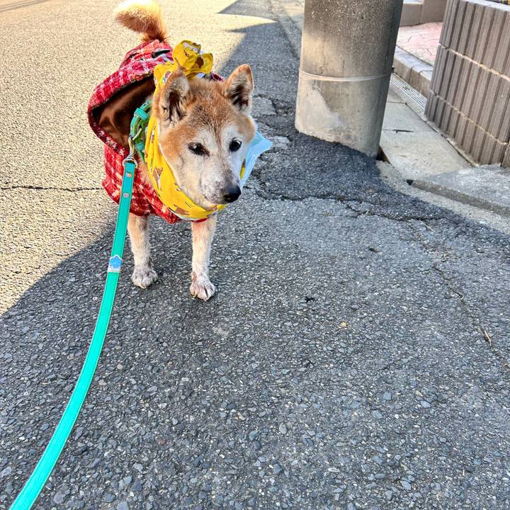 Bc39c0aa 8555 4f0c b032 1ed7aee49904 1765073354306