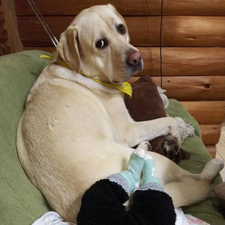 Bc39c4a8 1896 4913 90e5 adbcfa3f0133 1545384738343