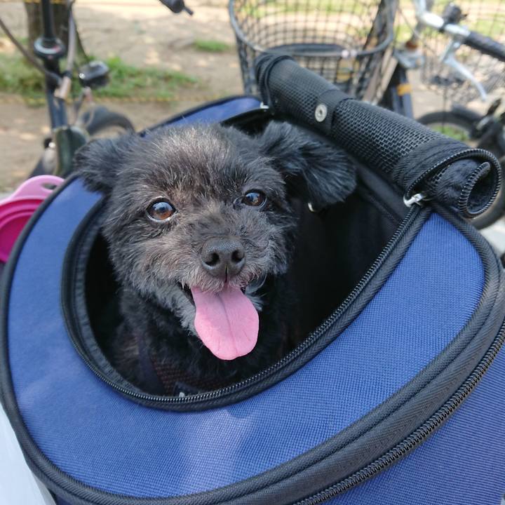 Bc39c656 d626 41cb ba06 ae4275f42b2b 1557631187217