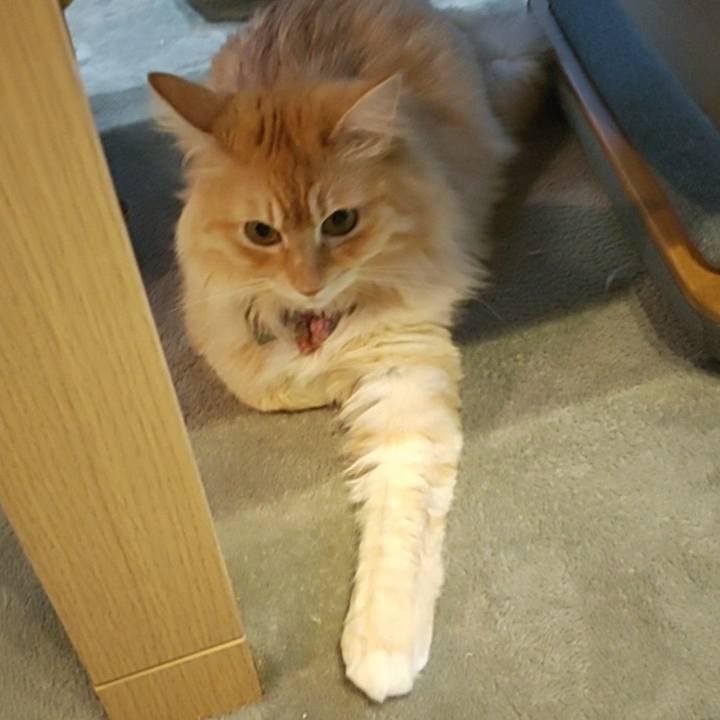 Bc39d61a 4319 4da0 8045 0395f63675f0 1659866099051