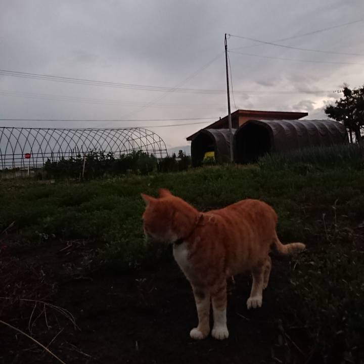 Bc39e9a4 d64d 4bc2 8222 0b4f1f3a5fb7 1567157595784