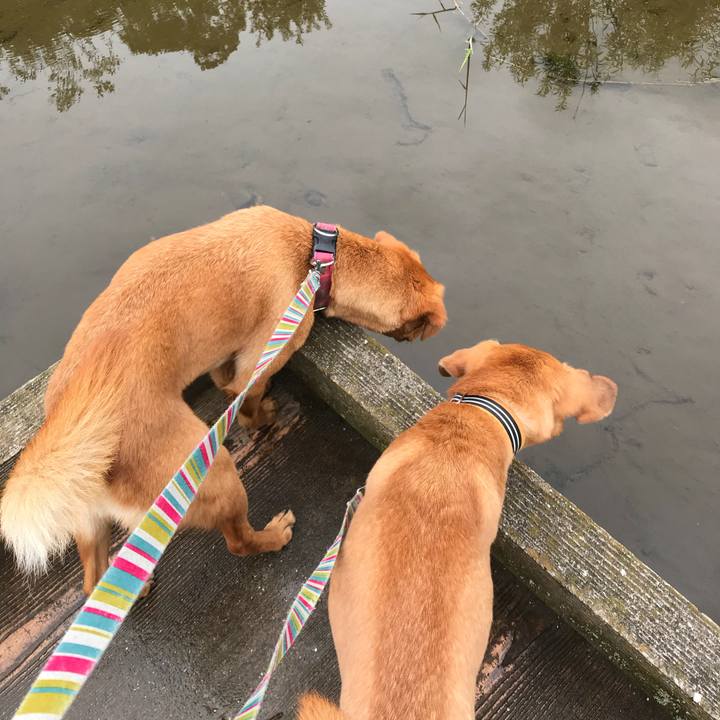 Bc3a6bb0 cd50 4b0f 9724 4a1c4894af40 1529131866058