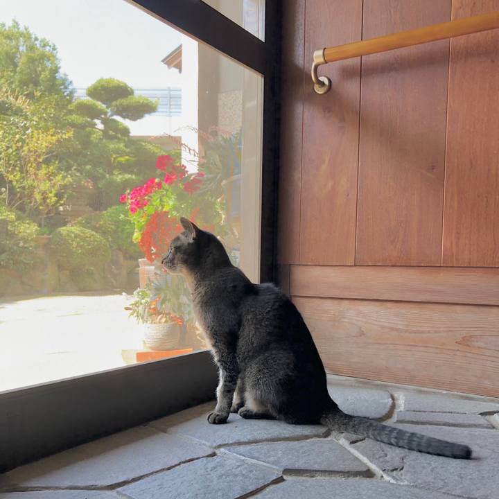 Bc3a81b3 b51d 4f10 b467 1200f8a51e7e 1715048085339