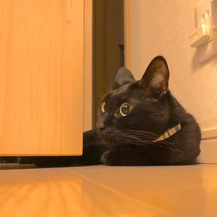 Bc3aa2e0 55e0 42ad 9673 cbb9268c67cd 1524489086151