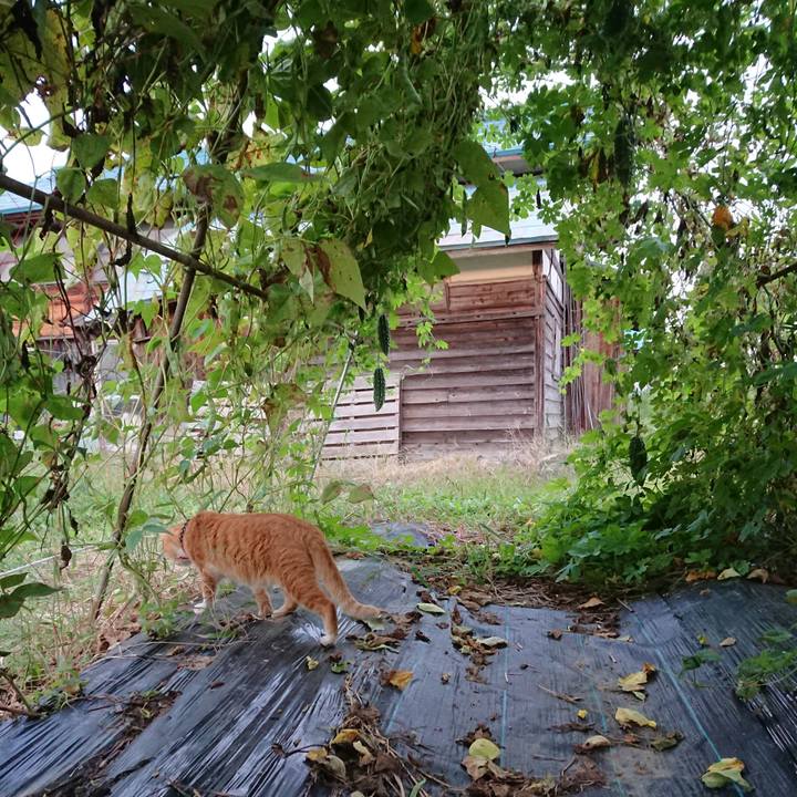 Bc3aa37a 7c3f 4c1d 8998 388280d27895 1568839902767